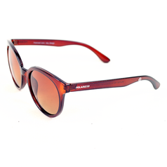 POLARIZED 2.165 NEW-FASHIONED brown