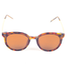 Polarizační brýle Polarized tiger brown  2.191_2.png